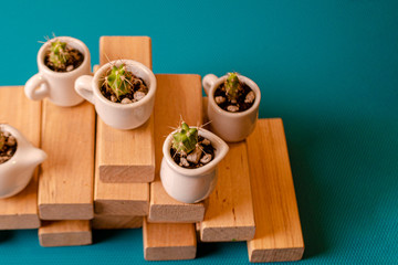 Small home ornamental cactuses in the cute ceramic cups on wooden planks. Composition of mini gardens of prickly succulents on the blue background. Plants stand on a pyramid staircase of wood