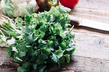 Fresh organic  homegrown cilantro, sustainable living