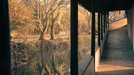 Fototapeta na wymiar The garden at Humble Administrator Garden(Zhuozheng Garden) in a mist early morning.Zhuozheng Garden a classical garden,a UNESCO World Heritage Site and is the most famous of the gardens of Suzhou.