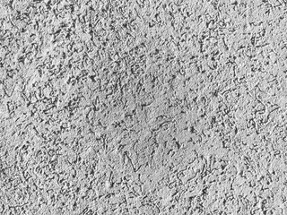 Texture of the grey plaster bark beetle on the wall. Seamless texture.
