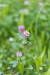 Die wahre Schönheit liegt im Detail
