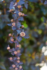 Ich bin was besonders