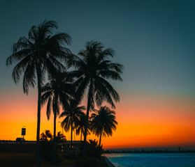 sunrise palm beach sun tree bridge water sea tropical ocean caribbean miami florida sky sunset island nature silhouette dusk coast beautiful © Alberto GV PHOTOGRAP