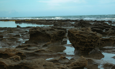 Natural rocks near the ocean in Brazil. We have a view of the beautiful coast in this scenic piece of wildlife.