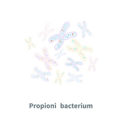 Propionibacterium probiotics on white