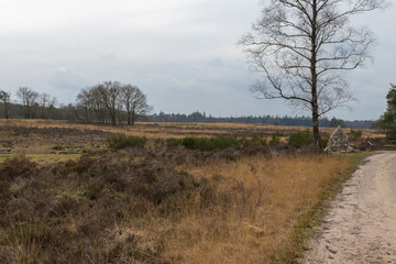 North Moor Elspeet Netherlands

