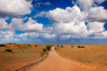 Kgalagadi landscape, sand and gravel roasd. Sunny hot day in Africa. Kgalagadi Transfrontier Park, South Africa. Orange and red sand dune with green vegetation. Blue sky with clouds, Africa