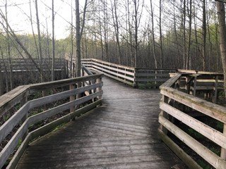 Wooden Crossway