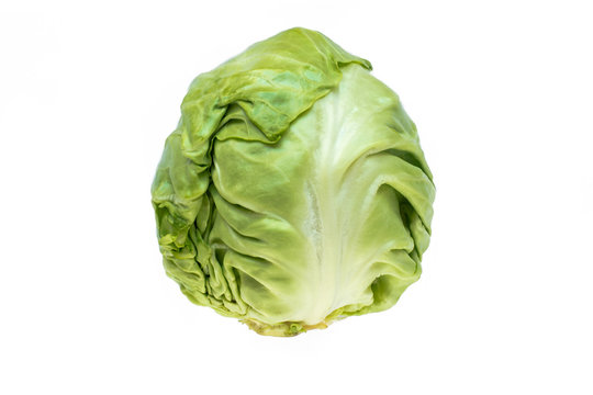 green fresh cabbage on a white background. food for vegetarians.