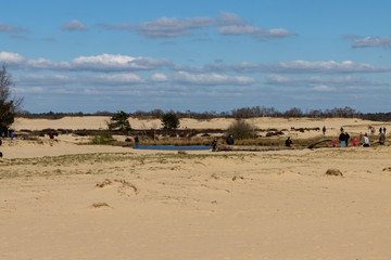 Dutch desert in Oisterwijk