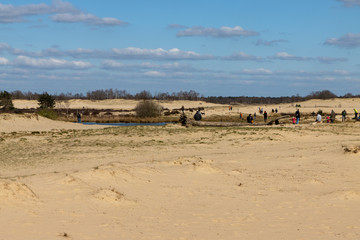 Fototapeta na wymiar Dutch desert in Oisterwijk