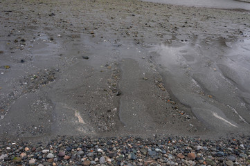 Close look at coast after tide in Picnic Point area, WA, USA