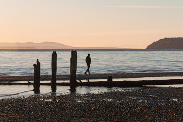 A man walking at coast in evening at Picnic Point area, WA, USA