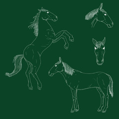 Vector Set of Chalk Sketch Horses