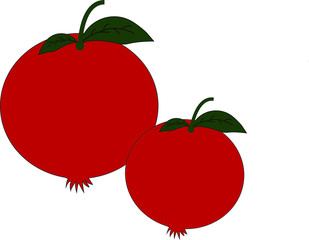 Anar fruit with leaves