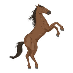 Fototapeta na wymiar Vector Cartoon Rearing Horse