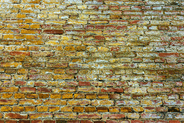 Background of old brick in different colors, masonry, texture