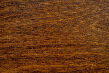 Brown wood texture. Wood texture for design, copy space