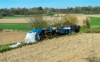 Holz Ster © iNet3.de