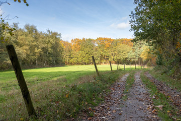 Naklejka premium Zoomland Bergen Op Zoom