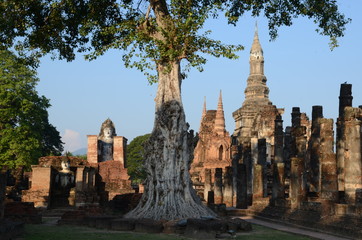 Scenic view of Wat Mahathat in the Historical Park of Sukhothai
