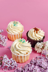 Cupcakes with lilac flowers on a pink background with a copy space