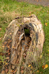 Zoomland Bergen op Zoom