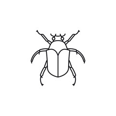 June bug or beetle vector line icon