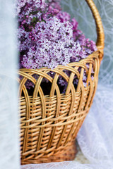 Fototapeta na wymiar Lilac flowers in a basket
