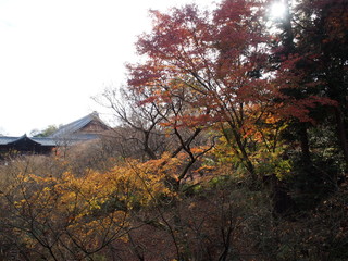 日本、京都、秋