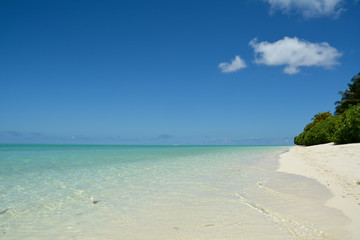 Blue sea and white sand in the Maldives.
Tropical beach with coconut trees.