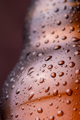 Detail of cold beer bottle