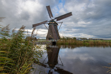 Fototapeta premium Windmills alblasserwaard 