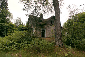 Fototapeta na wymiar An old abandoned house in the woods