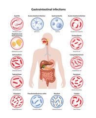 Page template with image of human body and bacteria and viruses that cause main gastrointestinal infections: Gastritis, Cholera, Dysentery, Salmonella, Gastroenteritis, colitis. Vector illustration