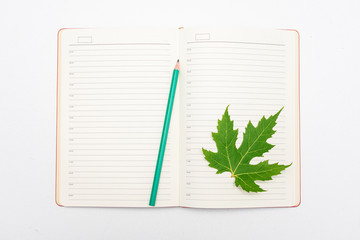 Open notepad, green maple leaf, pencil, copy space, close up, top view