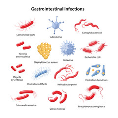 Set of bacteria and viruses that cause main gastrointestinal infections: Rotavirus, Adenovirus, clostridia, Salmonella, Escherichia, Shigella, Helicobacter, Yersinia. Vector illustration in flat style