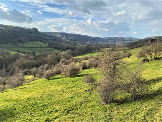 Obraz premium Landscape view of Shibden Valley, with flowery meadows, green fields, and old trees, set against a cloudy sky, in early spring in, Shibden Valley, Halifax, Yorkshire, England