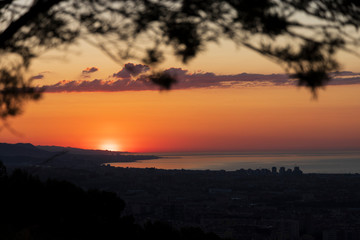 Sunrise in the coast with tree shadows 