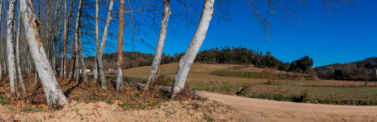 Fototapeta premium camino de montaña 