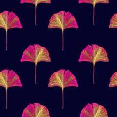 Pink and yellow ginkgo (ginkgo biloba or maidenhair tree) leaves, hand painted watercolor illustration, seamless pattern design on dark bluebackground