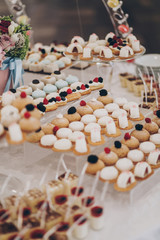 Wedding candy bar. Delicious creamy desserts with fruits,  panna cotta, cakes and cookies on table at wedding reception in restaurant. Luxury catering service.