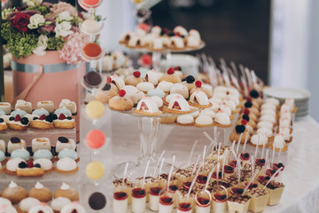 Delicious creamy desserts with fruits,  panna cotta, cakes and cookies on table at wedding reception in restaurant. Luxury catering service. Wedding candy bar
