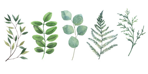 Watercolor Botanical clipart. Set of green leaves, herbs and branches. Floral design elements. Perfect for wedding invitations, greeting cards, blogs, posters and more.