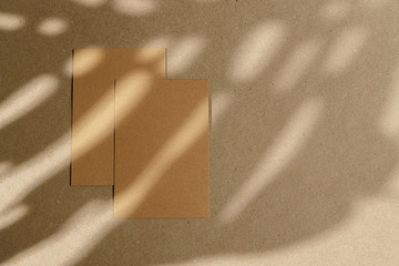 Envelopes on cork board with leaf shadow