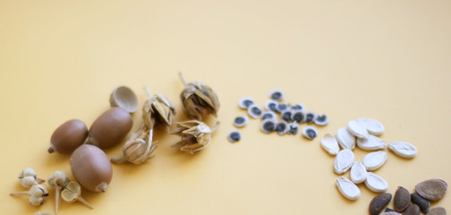 Various seeds - sesame, flax seed, sunflower seeds, pumpkin seed, chia in spoons on a black stone background. Top view