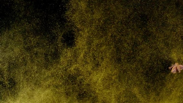 Exotic spices and star anise flying up in slow motion. Spices explosion on black background. Full HD 240 fps