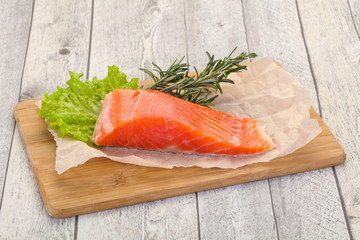 Piece of raw salmon