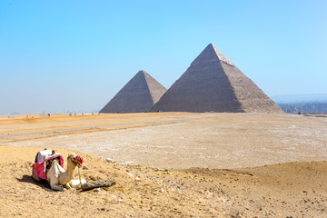 The pyramids at Giza in Egypt