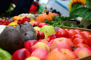 vegetables at fair. Beautiful and delicious